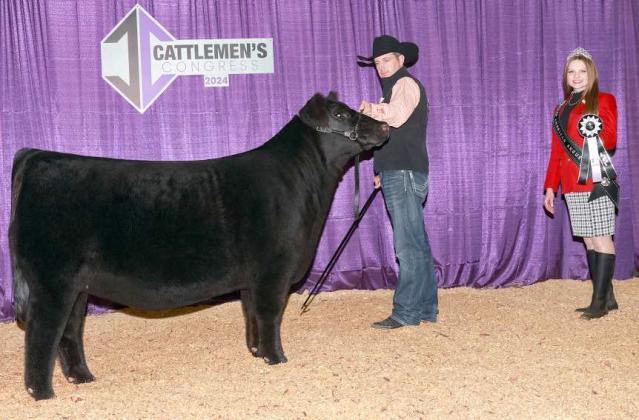 RESERVE SENIOR HEIFER CALF CHAMPION - Div 2 BRDG Pin Up Gal 229 won reserve senior heifer calf champion at the 2024 Cattlemen’s Congress Super Point Roll of Victory (ROV) Angus Show, Jan. 6, 2024 in Oklahoma City, Okla. Wyatt DeBerry, Olton, Texas, owns the winning heifer. (Photo by Next Level Images)