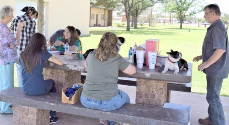 Lamb Co. Veterinary hospital holds remote shot clinic in Anton