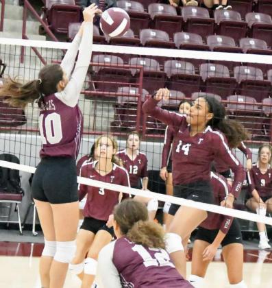 JULIE BOWNDS (10) - Littlefield Lady Cats