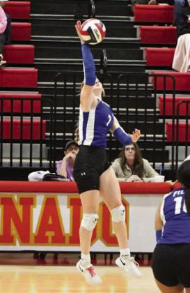 TARYN SMITH - Olton Fillies