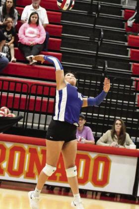 ZAYDA GONZALES - Olton Fillies