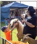 Fun at the Olton Sandhills Dog Show and Petting Zoo