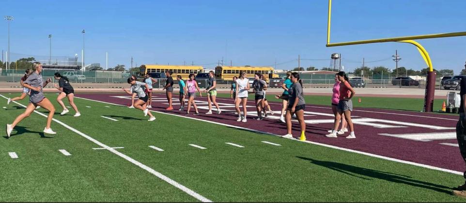 LADY CAT MARINE CORP WORKOUT