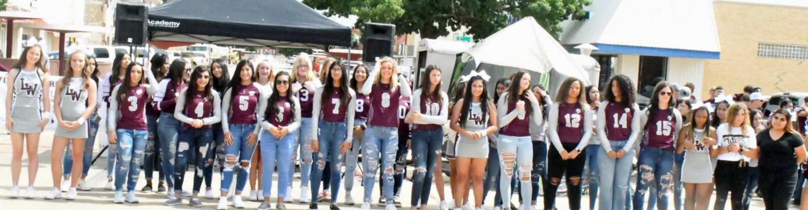 Meet the Lady Cats