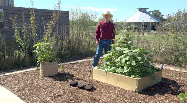 SKIP RICHTER talks the ins and outs of raised garden beds. (Texas A&amp;M AgriLife photo)