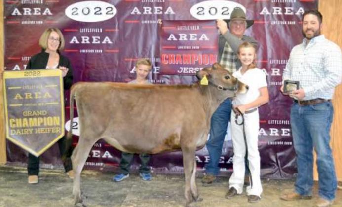 GRAND CHAMPION DAIRY HEIFER, a Jersey was exhibied by Ava Van de Pol of Sudan. (Staff Photo by Joella Lovvorn