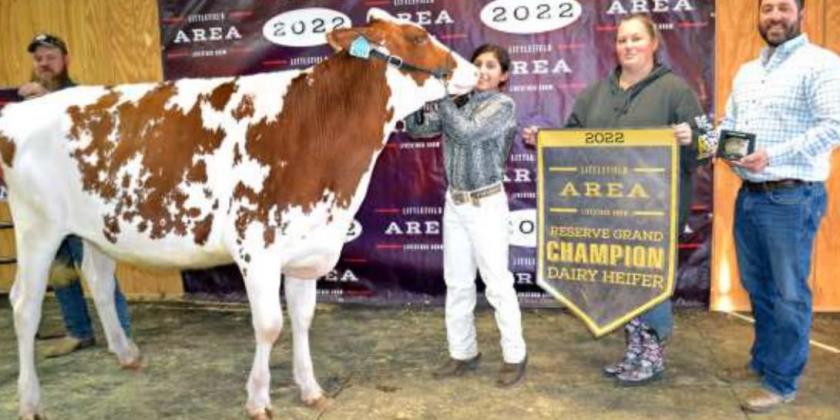 RESERVE GRAND CHAMPION DAIRY HEIFER, a Holstein, was exhibited by Kalissa Harris of Sudan. (Staff Photo, Joella Lovvorn)