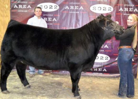 GRAND CHAMPION BEEF HEIFER, Braelyn Pointer. The show judge, Zachary Wagoner, is shown with them. (Staff Photo by Joella Lovvorn)