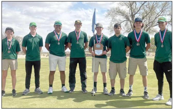 Wolverine golf team places 2nd at District Meet