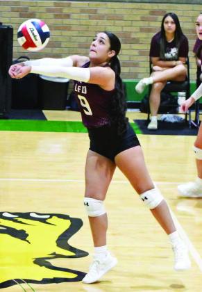 KAMILA SILVEIRA - Littlefield Lady Cats