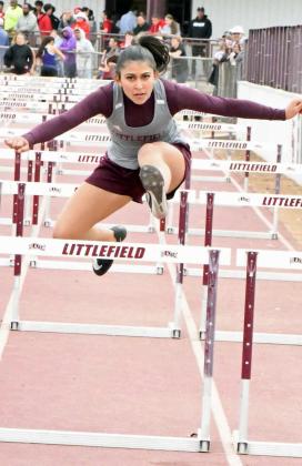 ARIAN MacDONALD - Littlefield Lady Cats