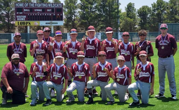 15u Babe Ruth State Champions!