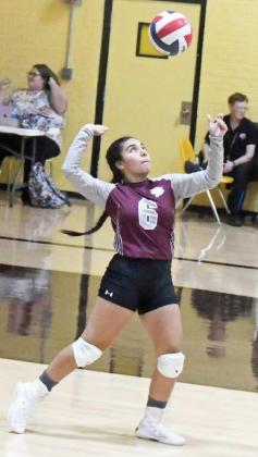 JULIE RODRIGUEZ - Littlefield Lady Cats
