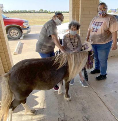 ENJOYING HORSE VISIT—Jackie Bonner, resident of Library of Legacy Assisted Living, is excited to visit with a special mini horse guest, “Buttercup”. The small horses are brought to the home regularly, by the owners, Robin Rekita and Melanie Tatum of “Minis and Friends South Plains.” Also petting the horse is Michelle Vienna, a Library of Legacy staff member, while Marsha Troche, the Assistant Manager of the Library of Legacy Assisted Living watches the fun. (Photo by Krista Carpenter)