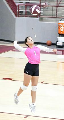 lADY cATS TAKE TOURNAMENT-OPENER OVER OLTON, 2-0