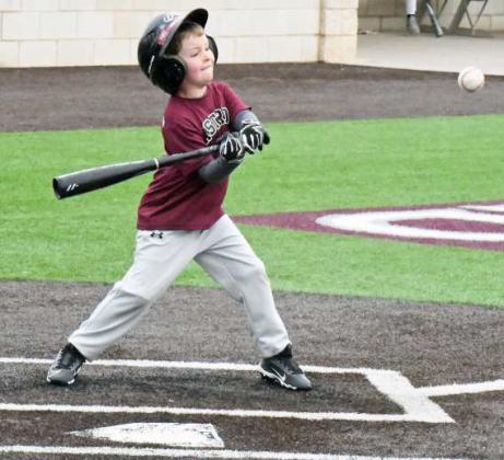 Wildcat Baseball Camp 2023
