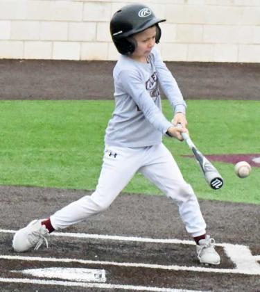 Wildcat Baseball Camp 2023