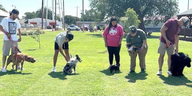 Alex Alvarez’s mini Aussie, Luka, won 1st place in the Cutest dog category; Roland Betz’s Newfoundland, Naley, won 1st place in the Biggest category; Javier Escalante’s Pitbull, Guapo, won 1st place in the Happiest category; Bridget Morris’s Dacshound, Theo, won 1st place in the Smallest category and Matthew Martinez’s Golden Doodle, Channelle won Best of Show. (Photo by Ann Reagan)