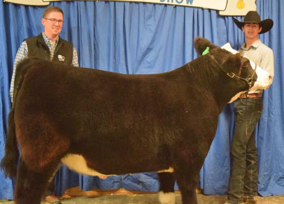 RESERVE GRAND CHAMPION STEER KINCAID BOEHNING of Sudan