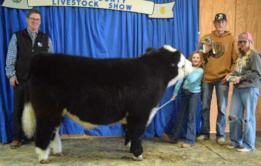 RESERVE GRAND CHAMPION HEIFER RAINEY HAYS of Littlefield