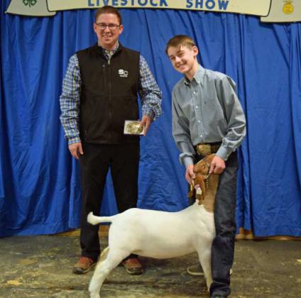 RESERVE GRAND CHAMPION GOAT REINER GOE of Springlake-Earth