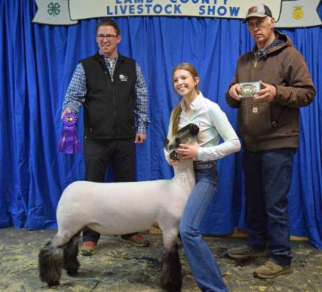 RESERVE GRAND CHAMPION LAMB KYNDALEDWARDS of Sudan