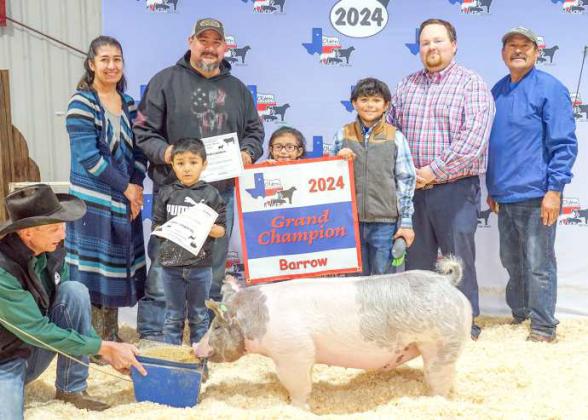 IYLEAN GUERRERO, Grand Champion Barrow