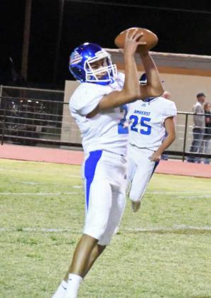 JOEL GARCIA - Amherst Bulldogs