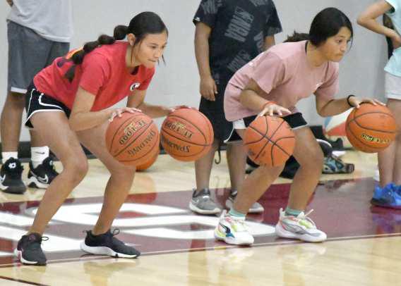 Wildcat youth basketball camp