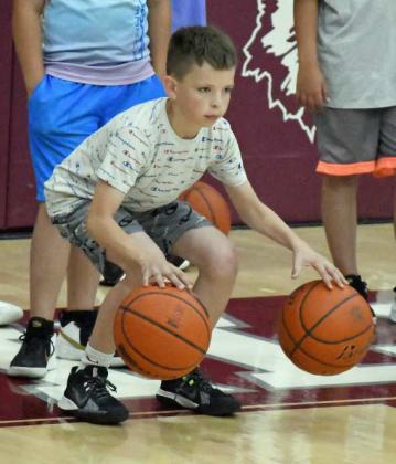 Wildcat youth basketball camp