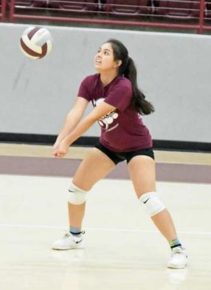 Lady Cats get after it during two-a-days