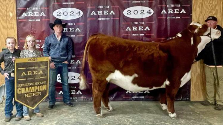 Callee Albus of Littlefield 4-H won Reserve Grand Champion Heifer at the Littlefield Area Junior Livestock Show on Friday at the Lamb County Ag Center. Judged by Hadley Albracht. (Submitted Photo)