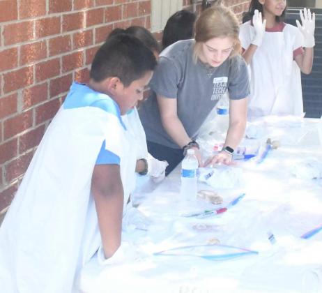 Drug Coalition, 4-h host summer camp