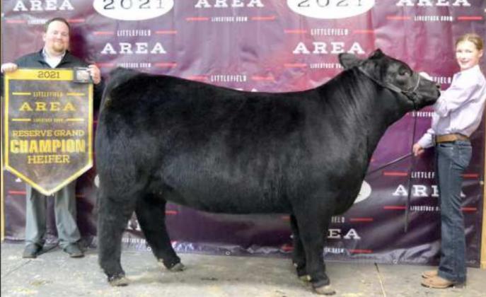 Area Livestock Show Reserve Grand Champions