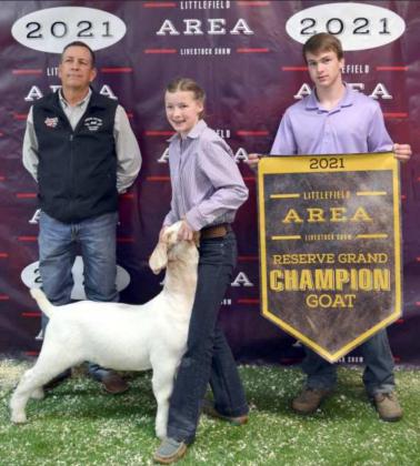 Area Livestock Show Reserve Grand Champions
