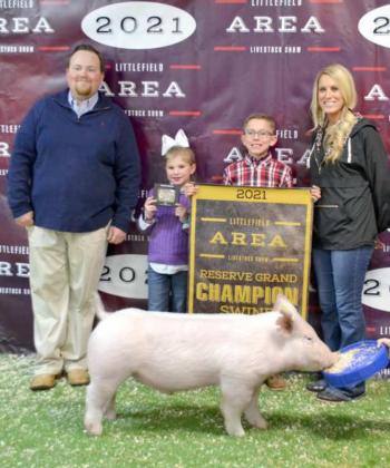 Area Livestock Show Reserve Grand Champions
