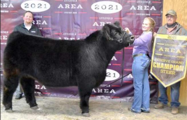 Area Livestock Show Reserve Grand Champions
