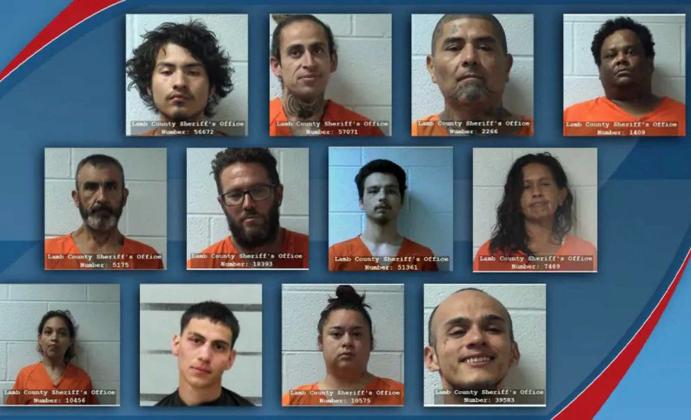 Littlefield Police Department excutes Operation: Midnight Sun, resulting in 12 arrests