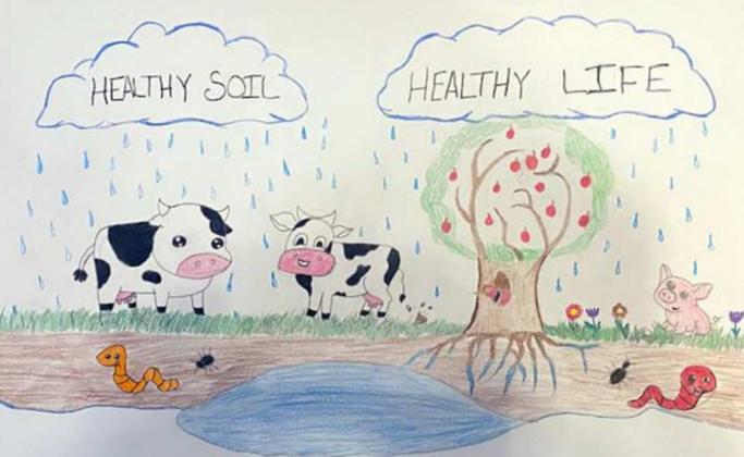 Lamb Co. Soil and Water Conservation