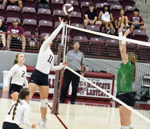 MYLI HERNANDEZ - Littlefield Lady Cats