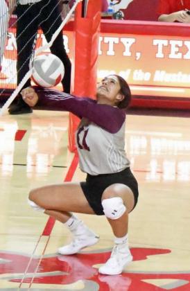 DANIELLE ZAPATA - Littlefield Lady Cats