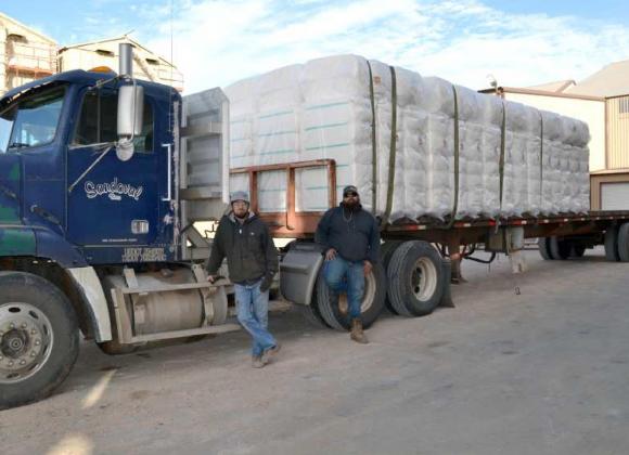 SPADE COOP GIN had turned out 6,000 bales of the 2020-year cotton crop, when a call to all the gins was made Friday morning, Nov. 6. When trucks like this one owned by Sandoval Trucking, has bales loaded all the way to the end (from 100 to 108 bales), the load is taken to the Plainview Compress, where the bales are processed further. Shown among the drivers are Jon Michael Noack, and Ben Jamin Garza HI. (Staff Photo by Joella Loworn)