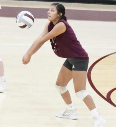 Lady Cats opened two-a-days Monday