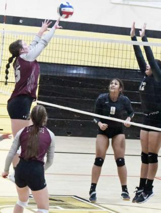 ASHTYN PARKER - Littlefield Lady Cats