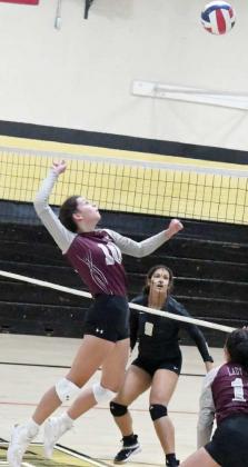 JULIE BOWNDS - Littlefield Lady Cats