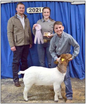County Jr. Livestock Show Reserve Grand Champions