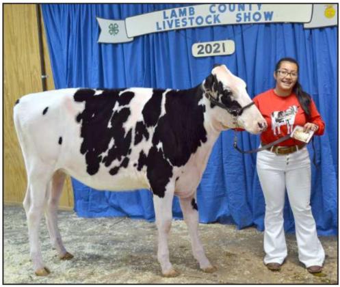 County Jr. Livestock Show Reserve Grand Champions