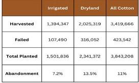 Initial 2024 Acreage and Crop Estimates Released August 12