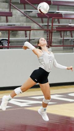 BRYNDLE RAY - Littlefield Lady Cats