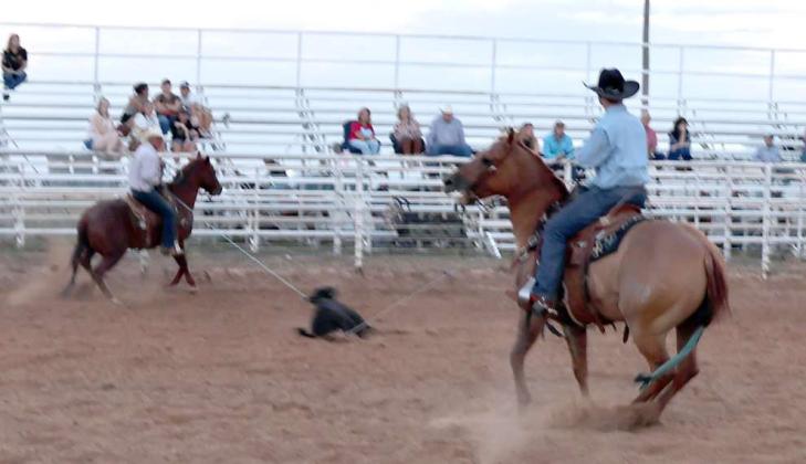 These competitors at the Earth WRCA Rodeo on Friday, September 20, 2024 made Heading and Heeling look easy. (Photo by Ann Reagan)